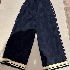 zara navy pants